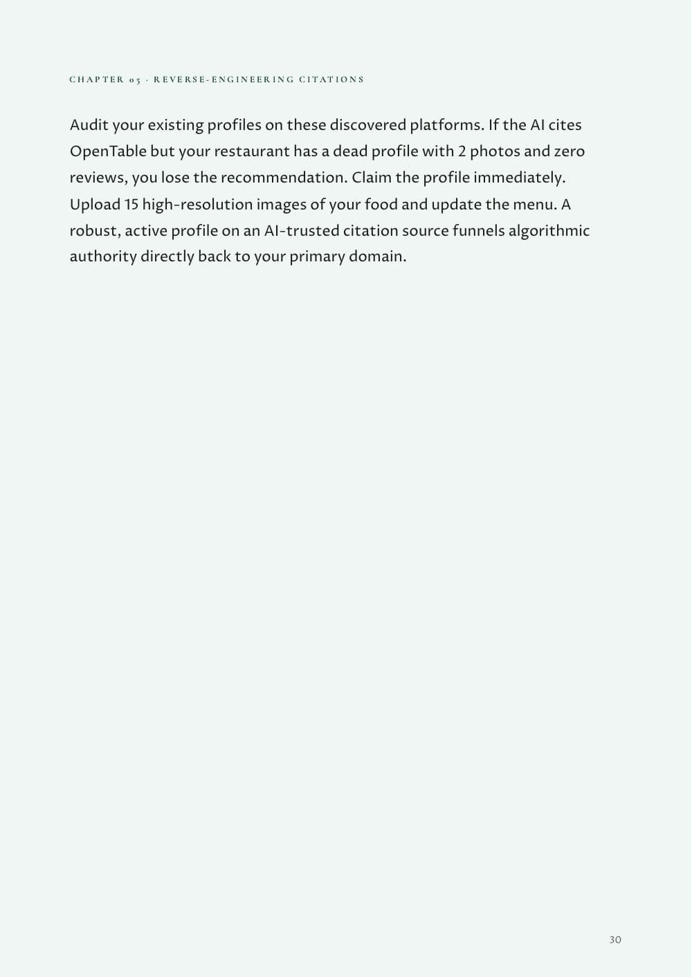 The AI Visibility Playbook · 35 pages, page 30