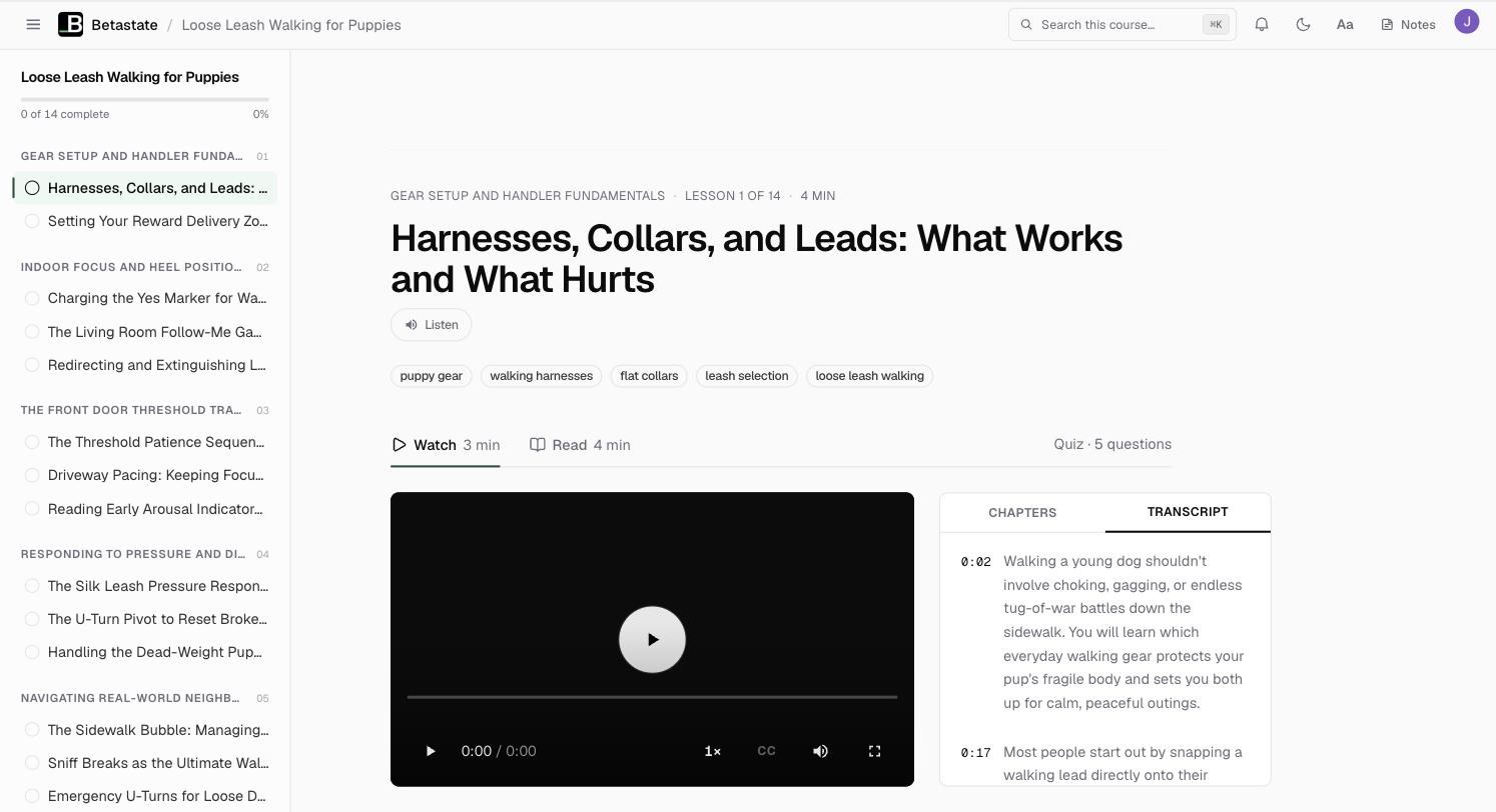 A student lesson page: the course outline on the left, the lesson title with Listen and topic chips, Watch and Read tabs with Quiz · 5 questions, and the video with Chapters and Transcript beside it