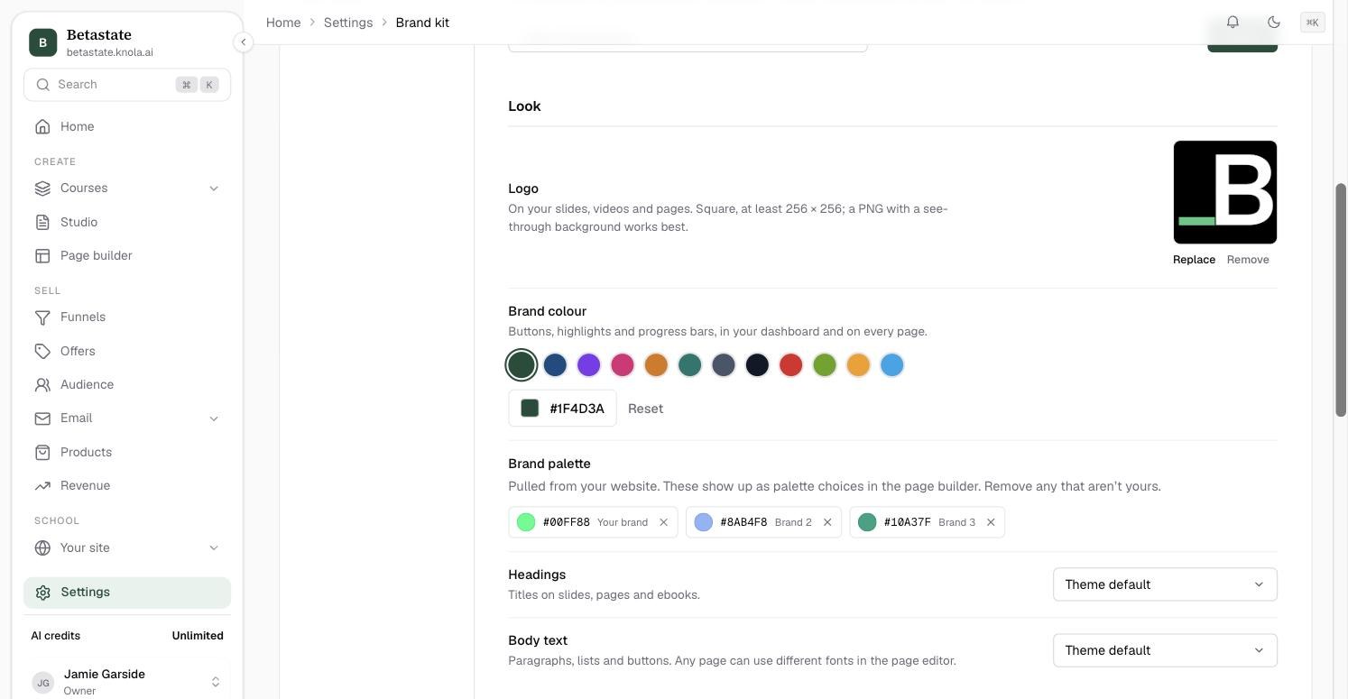 The Look section of the Brand kit: Logo with Replace and Remove, Brand colour swatches and a hex box, Brand palette chips Your brand, Brand 2 and Brand 3, and Headings and Body text font pickers