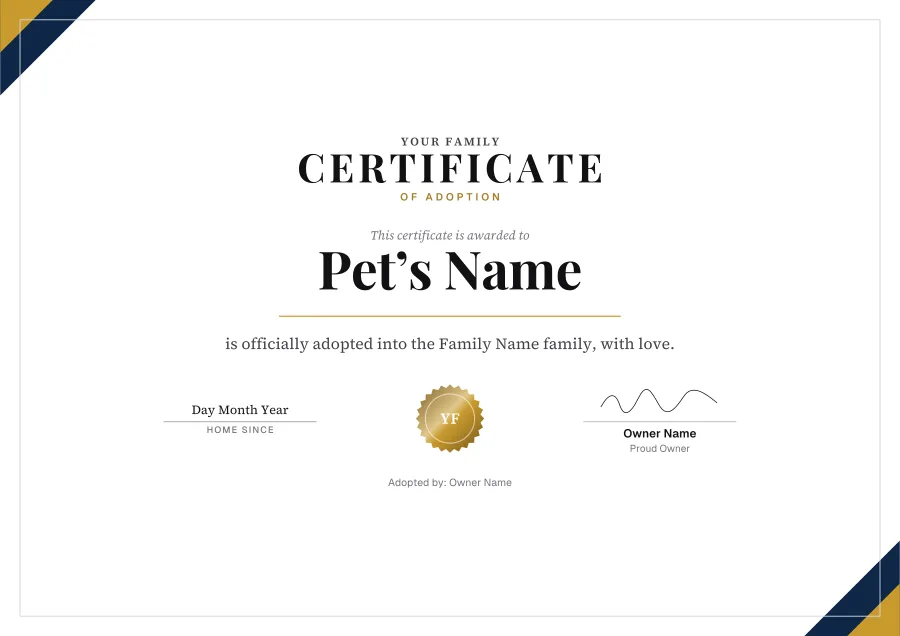 Certificate of Adoption certificate template for Word: Gold star design