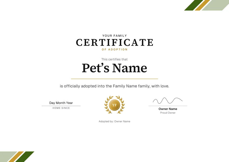 Certificate of Adoption certificate template for Word: Olive stripes design