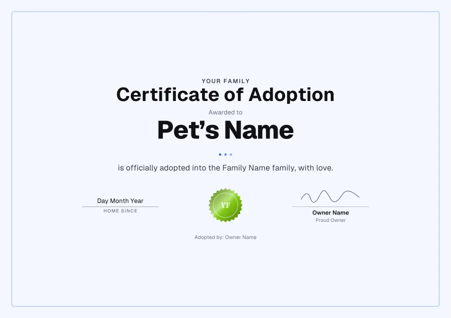 Certificate of Adoption certificate template for Word: Playground design